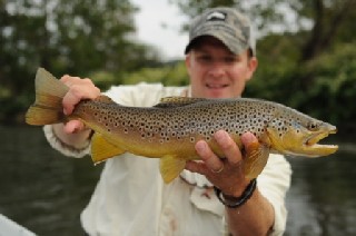 2729_4e63bc6200f69.jpg 448X298 px