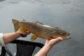 2729_4e63bc87d599f.jpg 448X298 px