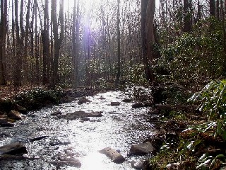 4607_4d72e6c1c47c7.jpg 448X336 px