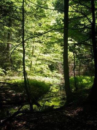 4607_4d72ed0d202df.jpg 336X448 px