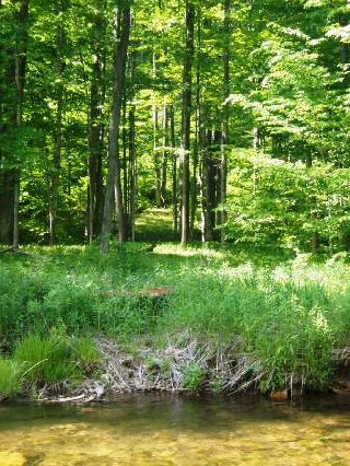 4607_4d72edb3c6113.jpg 336X448 px