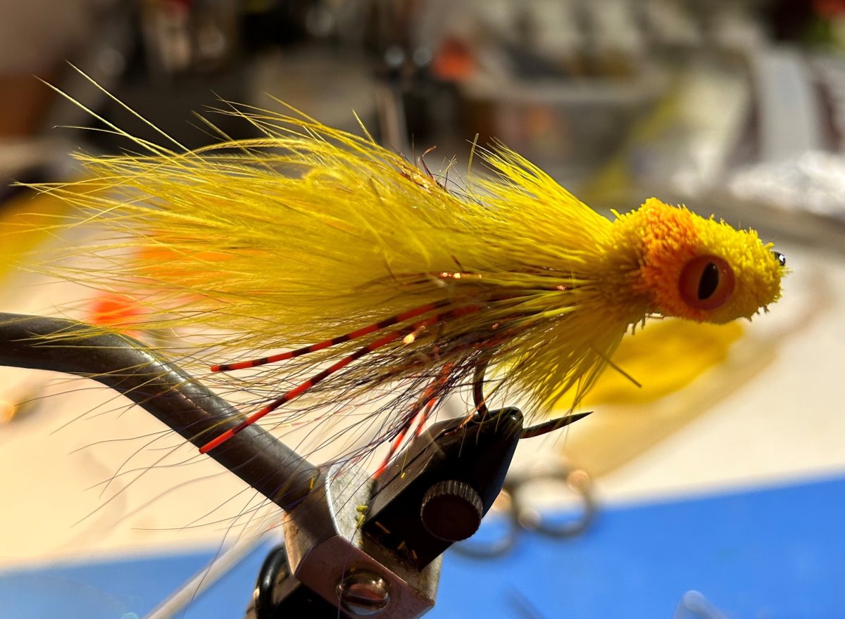 Bass Bug 3.jpg