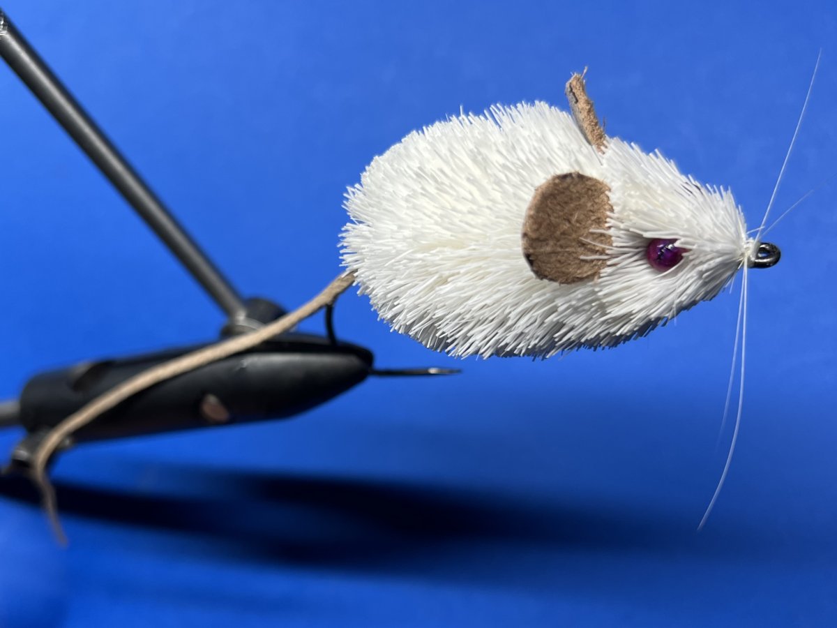 mouse3.JPG