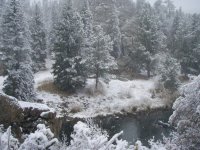 snowat11mile.JPG