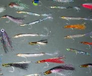 100_0316-crop.JPG