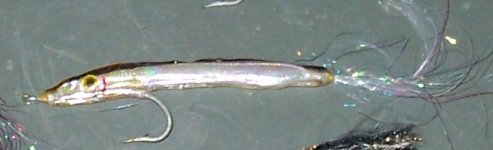 100_0316-crop2.JPG