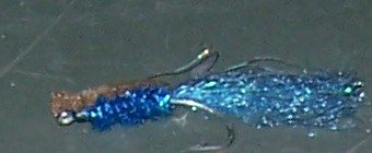 100_0317-crop.JPG