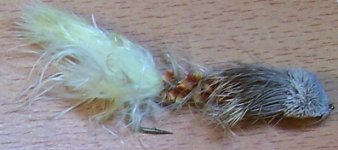 100_0341-crop.JPG