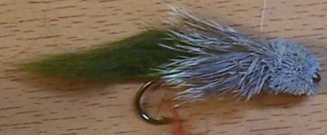 100_0341-crop2.JPG