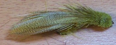 100_0341-crop4.JPG