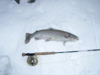 Erie11-18-08 2.jpg