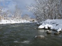 Erie11-18-08 9.jpg