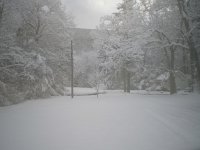 bear run road.jpg