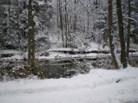 penns in snow.jpg