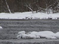 blurrywater.JPG
