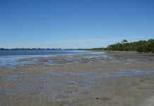 LemonBay Flats.jpg