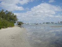 Sarasota Bay.jpg