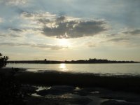 moresunsetSarasotaBay.jpg