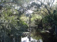 oldFlorida.jpg