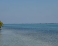 View of Big Sarsota Bay.jpg