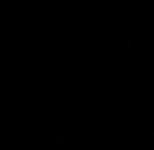 night heron uh at night.jpg