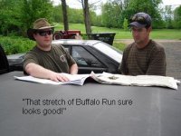 buffalo.JPG