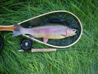 Big Spring Bow 19_.JPG