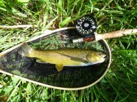 Upper letort 16_.JPG
