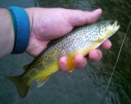 0620200902020.jpg