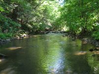 covecreekbedford.jpg