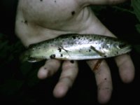 PIC_0042.JPG