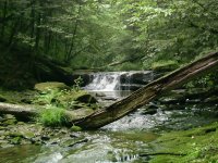 waterfall resize.jpg