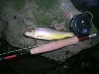 DSCN5108.JPG