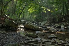 Hunting_Creek.jpg