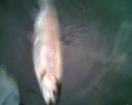 0802200908260.jpg