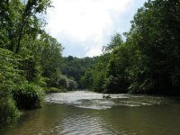 SpringCreek_2009_01a.jpg