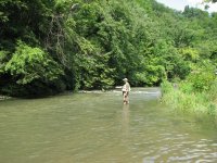 SpringCreek_2009_03a.jpg