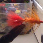 firebugger.jpg