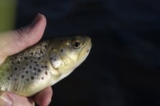 DSC_0999.jpg