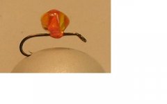sz16 egg1.JPG
