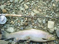 Erie 2009 6.JPG