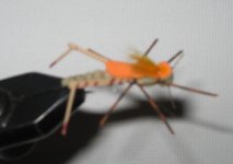 HopperFly.jpg
