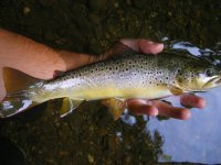 DSCF3106.JPG