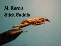 Stick Caddis.jpg
