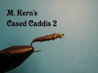 Cased Caddis 2.jpg