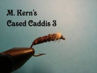 Cased Caddis 3.jpg