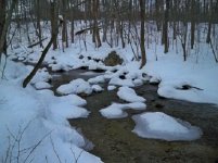 snowstorm fishing 013.JPG