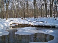 snowstorm fishing 021.JPG