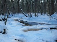 snowstorm fishing 025.JPG