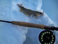 snowstorm fishing 028.JPG